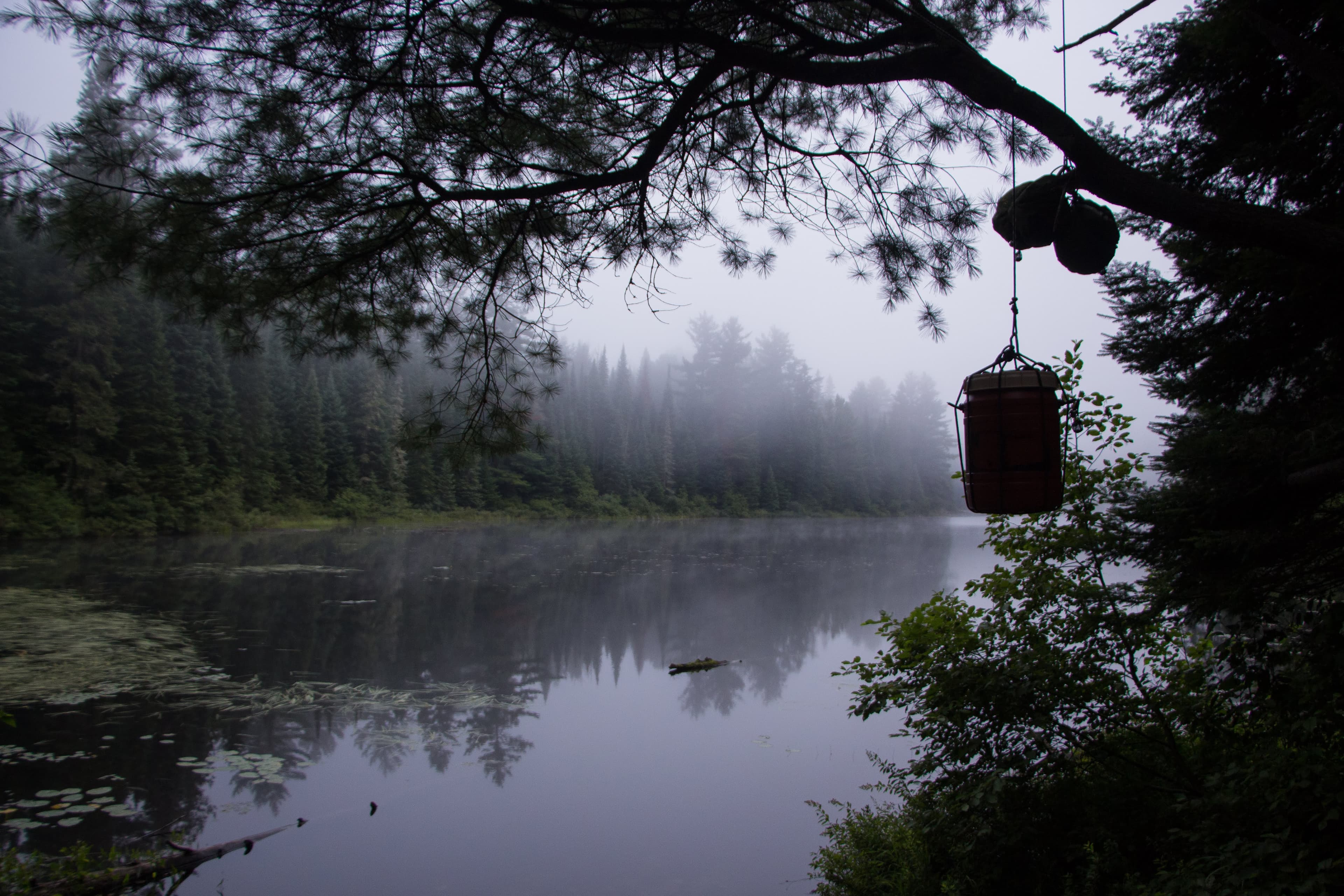 Bear Bag Hanged Up on Lost Lake